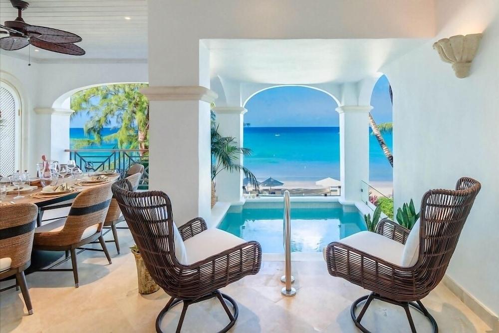 Old Trees 104 - Sunset