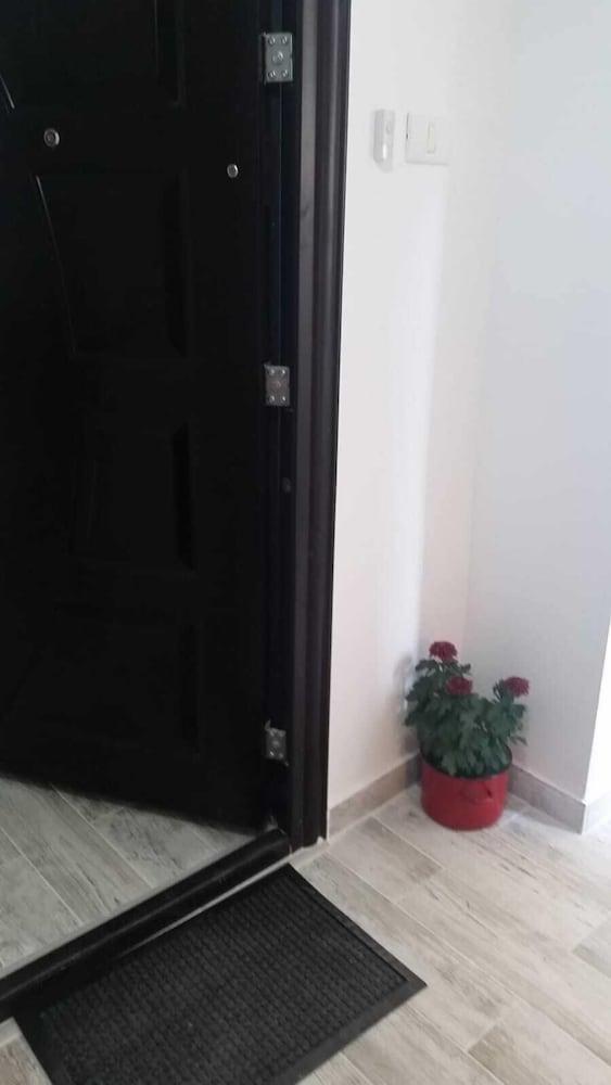 Neva Zedek Interior