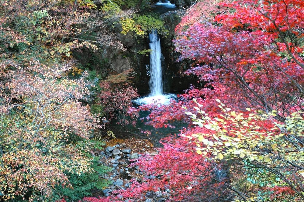 شيما أونسين كاشيوايا ريوكان المنطقة المحيطة بالمنشأة