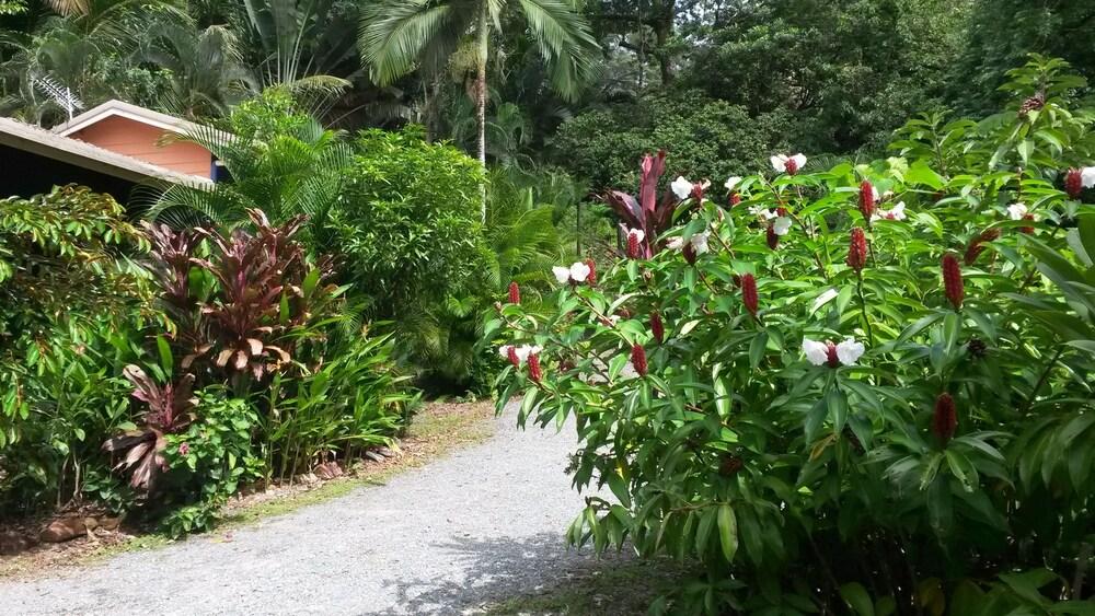 Daintree Village Hideaway Property Grounds