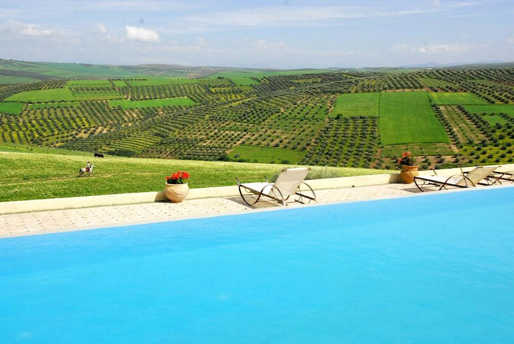 Terre de Traces Featured Image