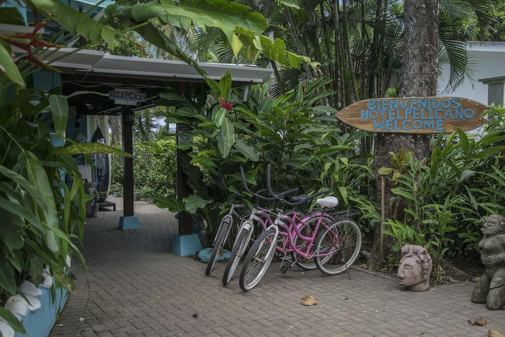 Pelican Beachfront Hotel