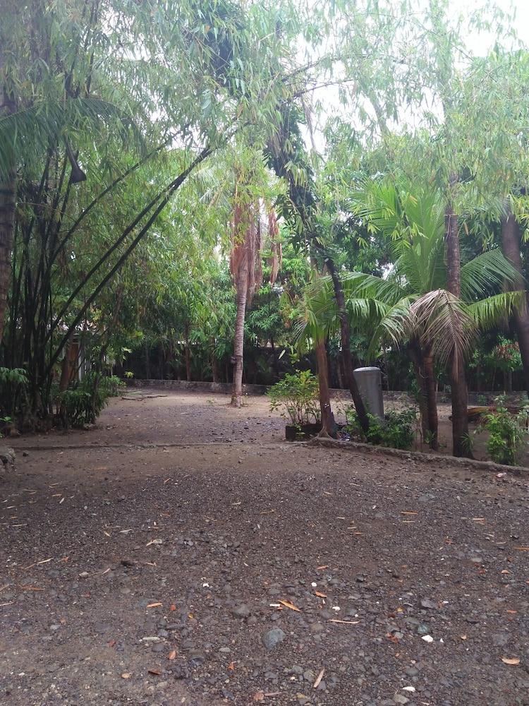 Coco Paradise Beach Resort Property Grounds