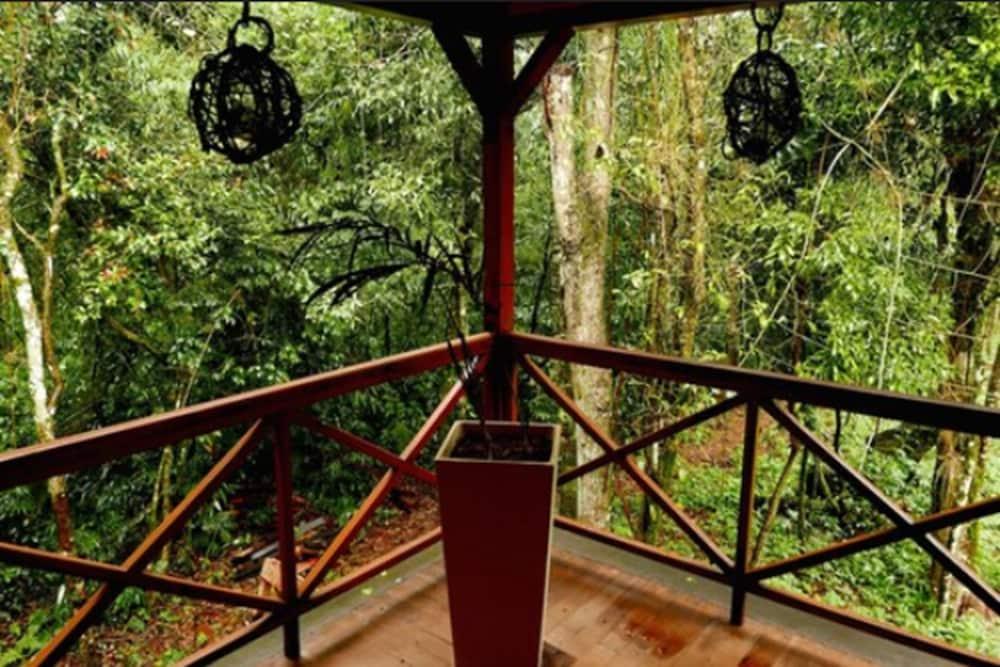 Selva de Laurel Exterior