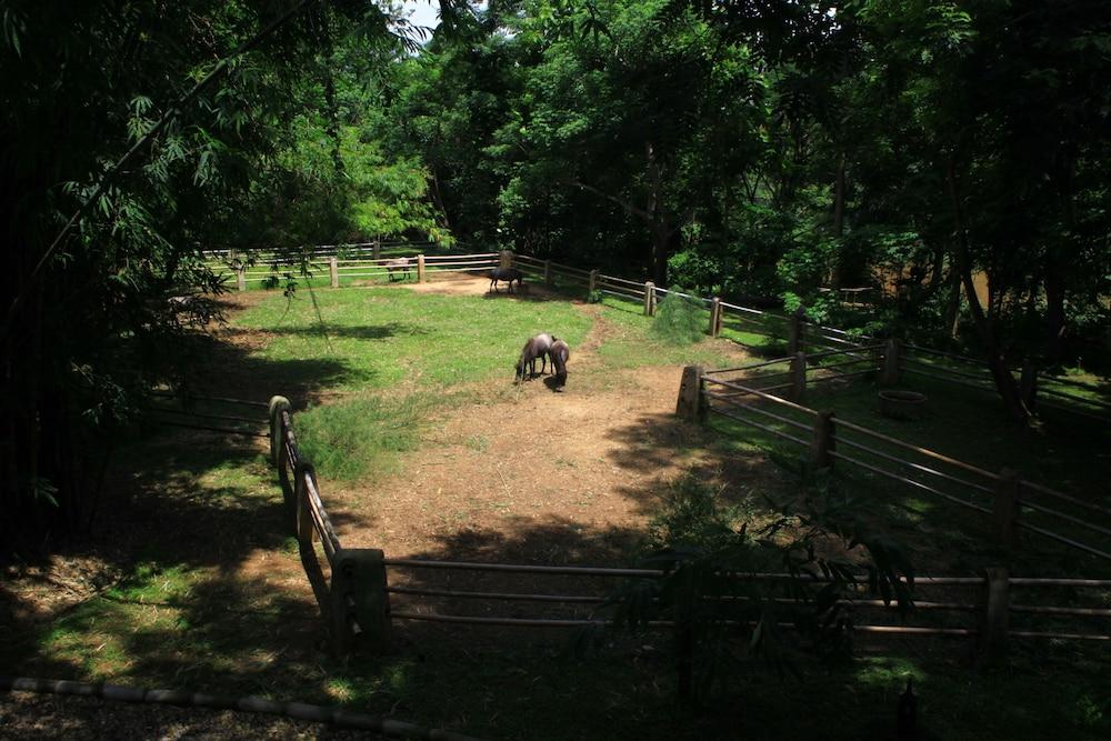 Middle Path Retreat Property Grounds