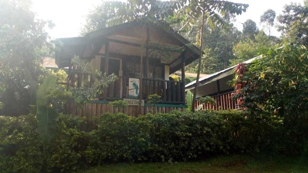 Bwindi View Lodge & Camp Site Featured Image