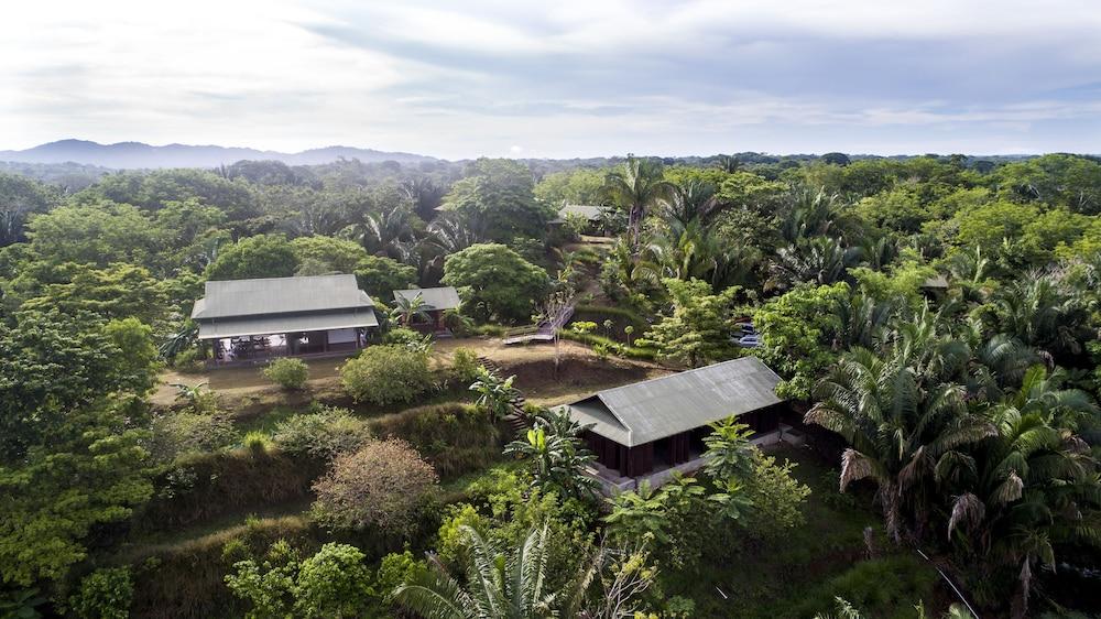 Cirenas Lodge and Regeneration Hub Aerial View