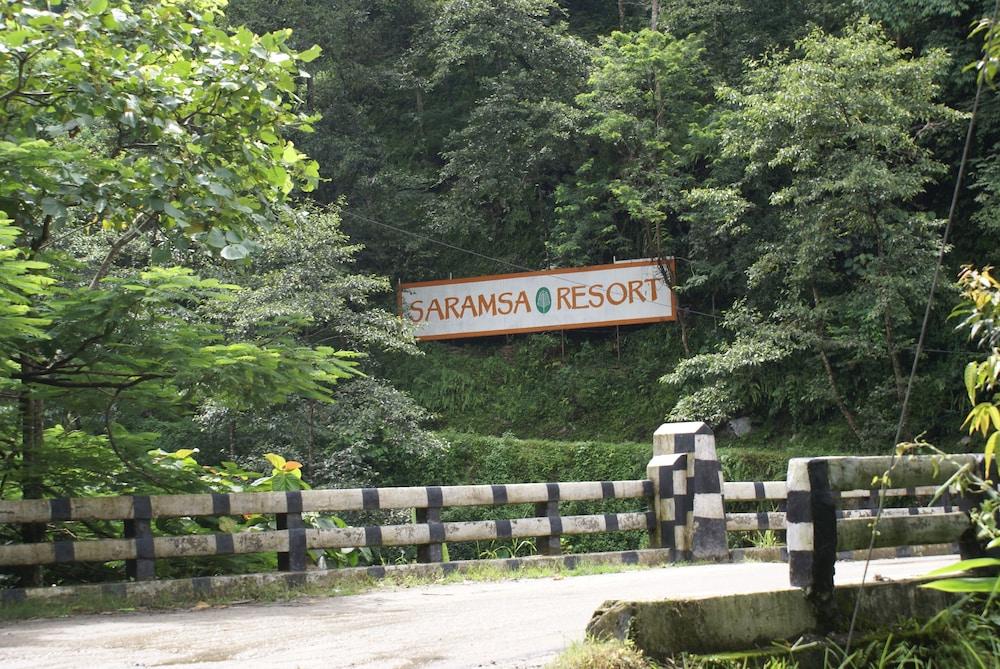Saramsa Resort Property Grounds