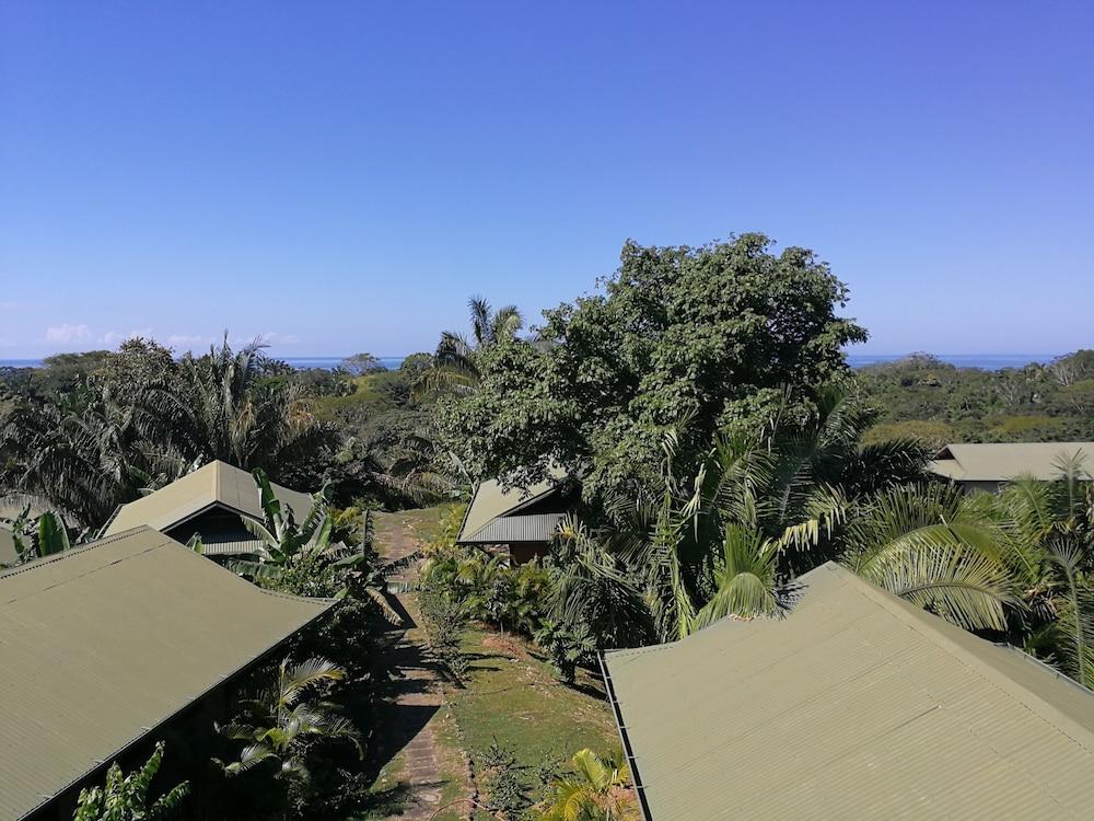 Cirenas Lodge and Regeneration Hub Property Grounds