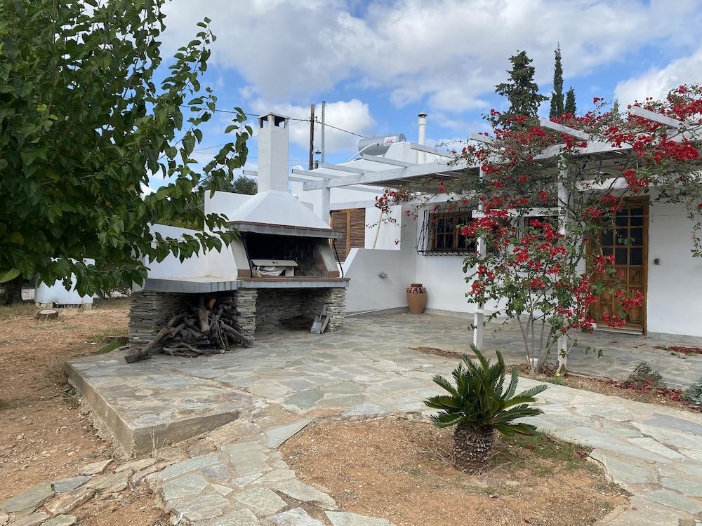 فيّا أرتيميس