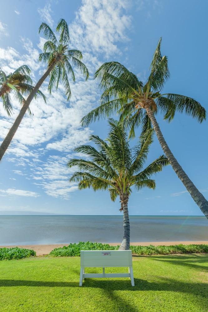 Castle at Moloka'i Shores Property Grounds