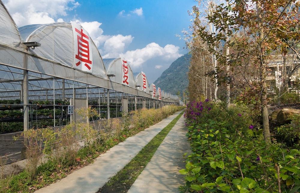 Tai Yi Red Maple Resort Exterior