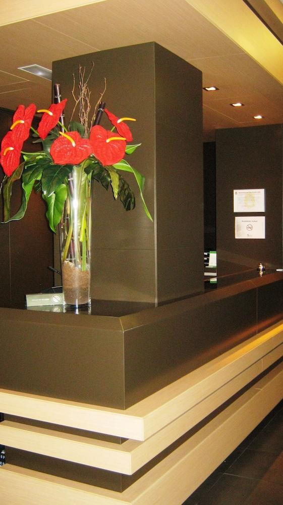 هوتل أروي بونفيرادا الردهة