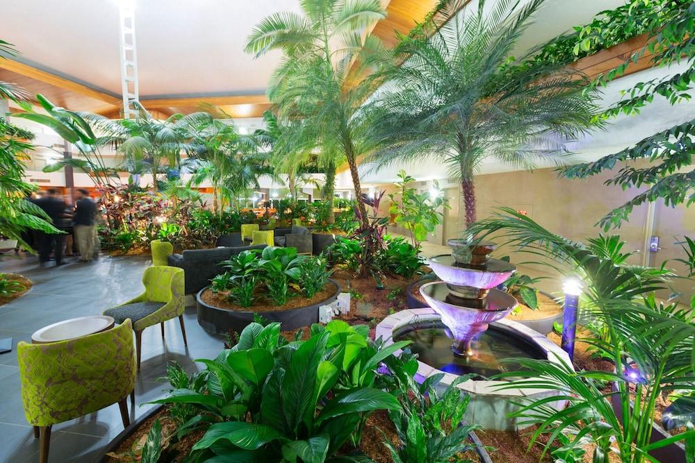 Pavilion on Northbourne Interior