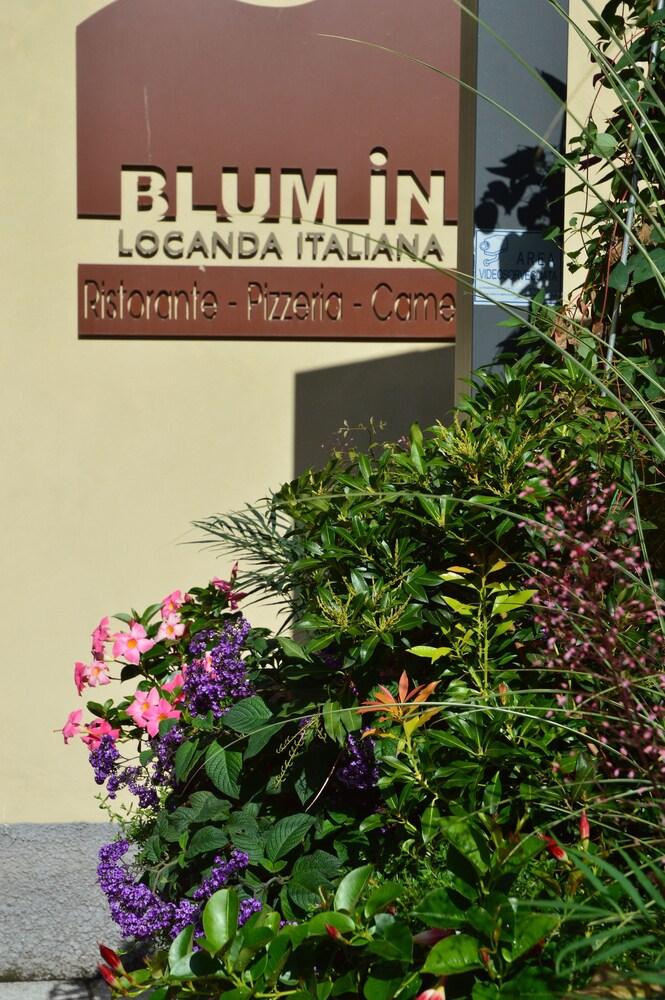 Blum In Exterior detail