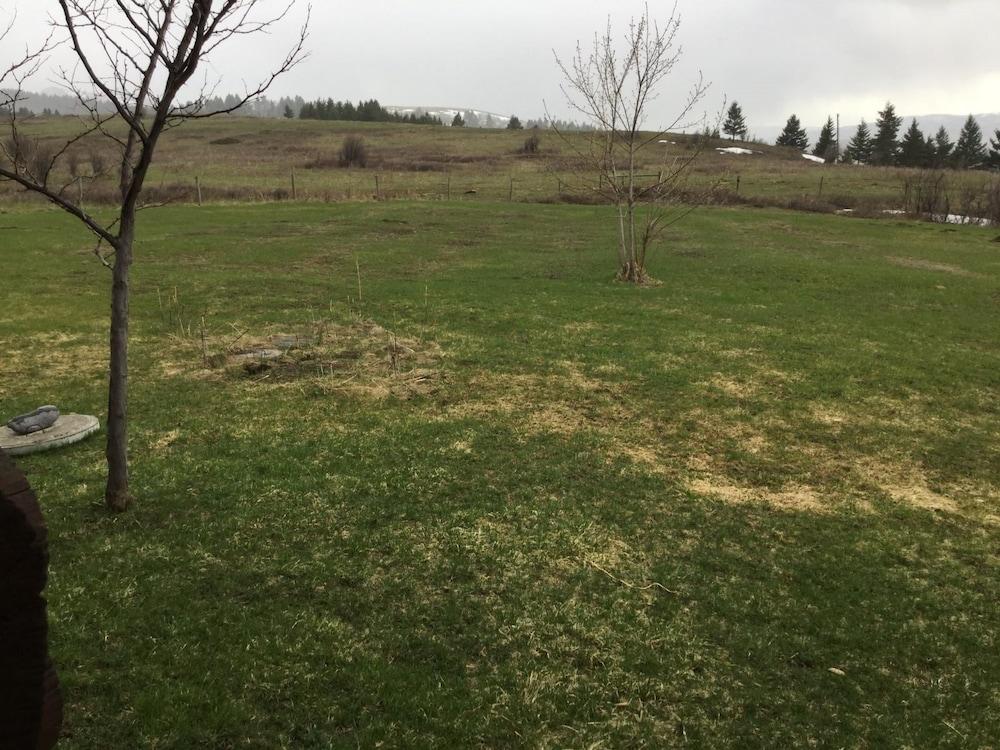 Bozeman - Hyalite View Ranch Property Grounds