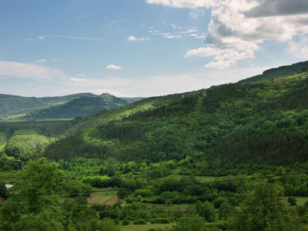 فيلا ويذ برايفت بول، تيراس، باربيكو، فيوز، إن بيكتر سكوي فيليدج المنطقة المحيطة بالمنشأة