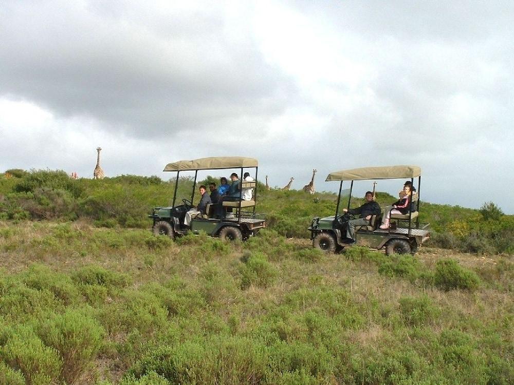 Nyaru Game Lodge Property Grounds