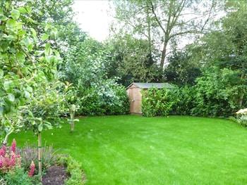 Sleepy Willows Property Grounds