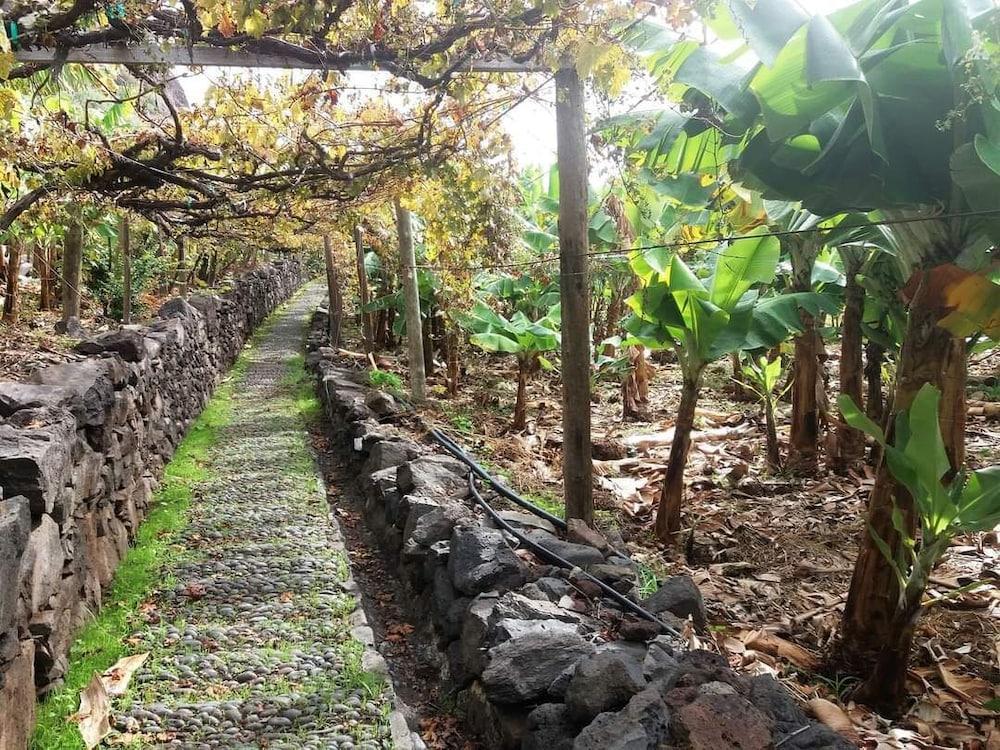 Fajã dos Padres Property Grounds