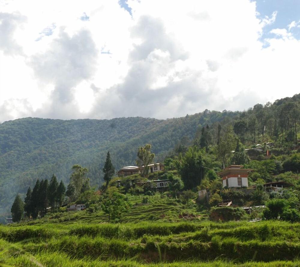 Drubchu Resort Exterior