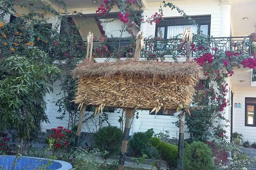 هوتل بانديبور بالاس المنطقة الخارجية