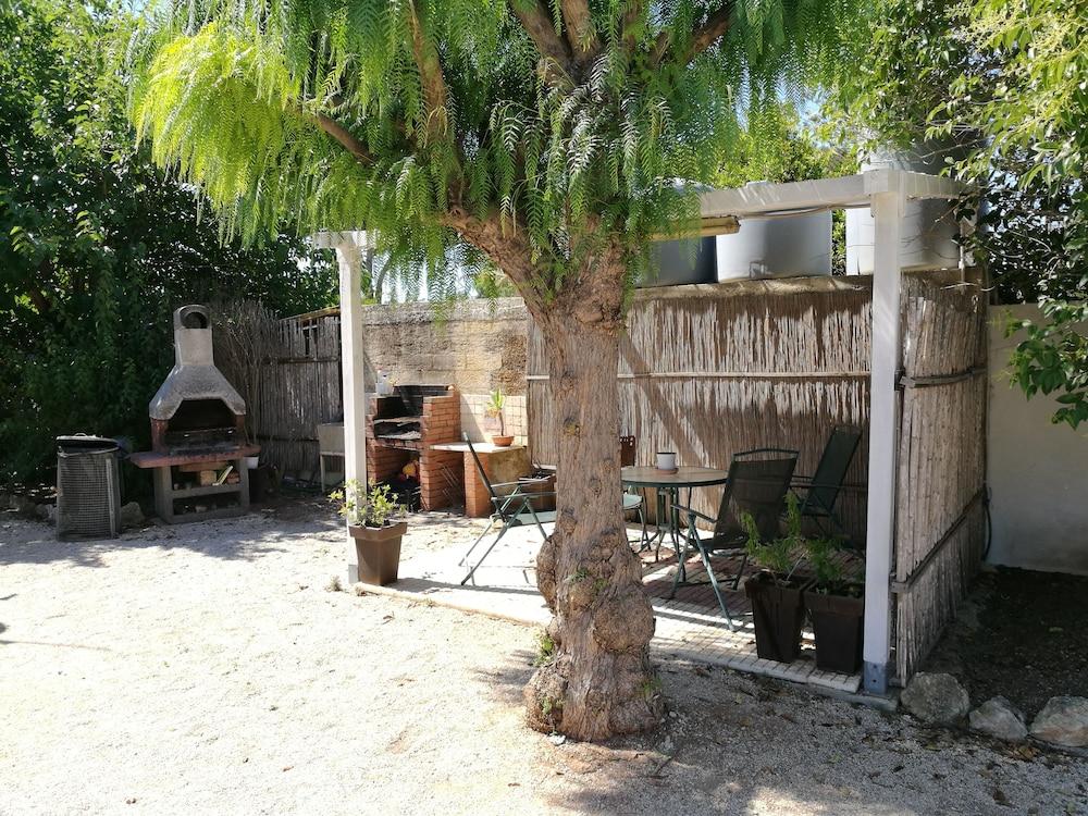 L'Araucaria Property Grounds