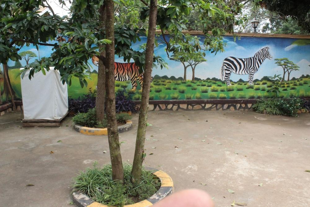 Bwindi Mgahinga Guest House Property Grounds