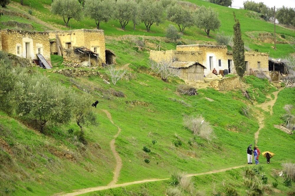 Terre de Traces Property Grounds