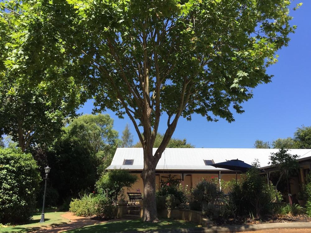 The Noble Grape Guesthouse Property Grounds