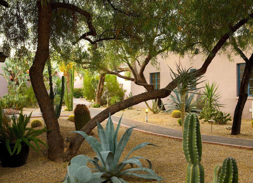 Lodge on the Desert Property Grounds