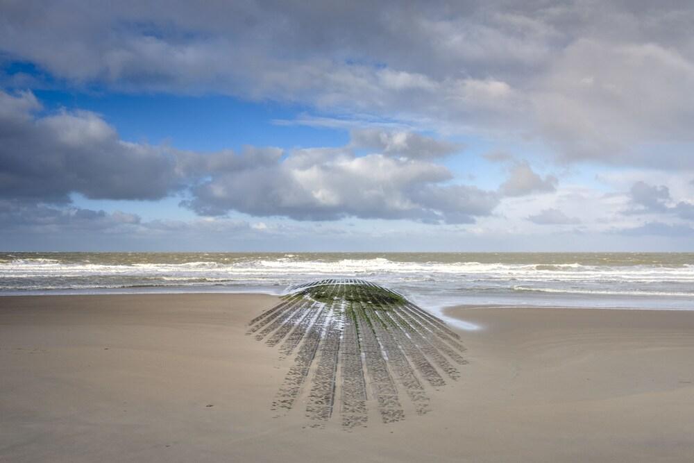 Sea Me If You Can Beach