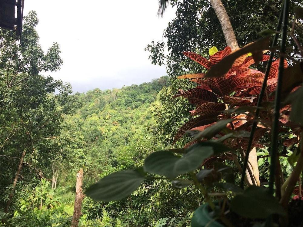 Knuckles Range - Aruni Villa Property Grounds