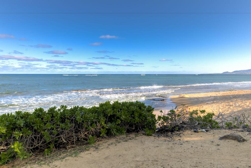 The ISO by Castle Beach