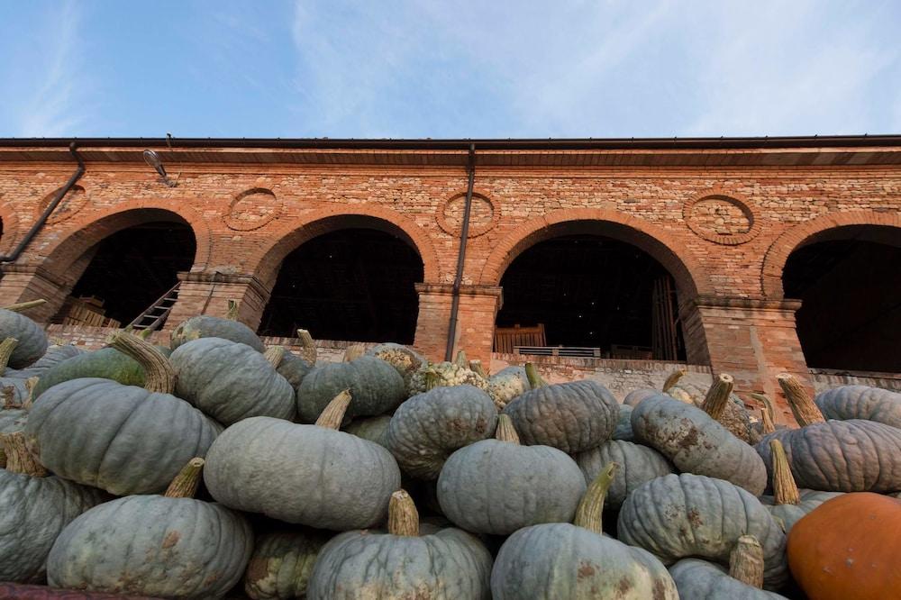 Agriturismo Arte Contadina