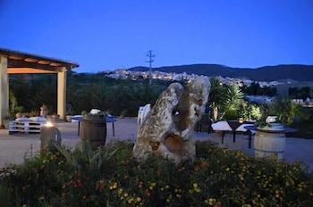 B&B Antico Frantoio Property Grounds