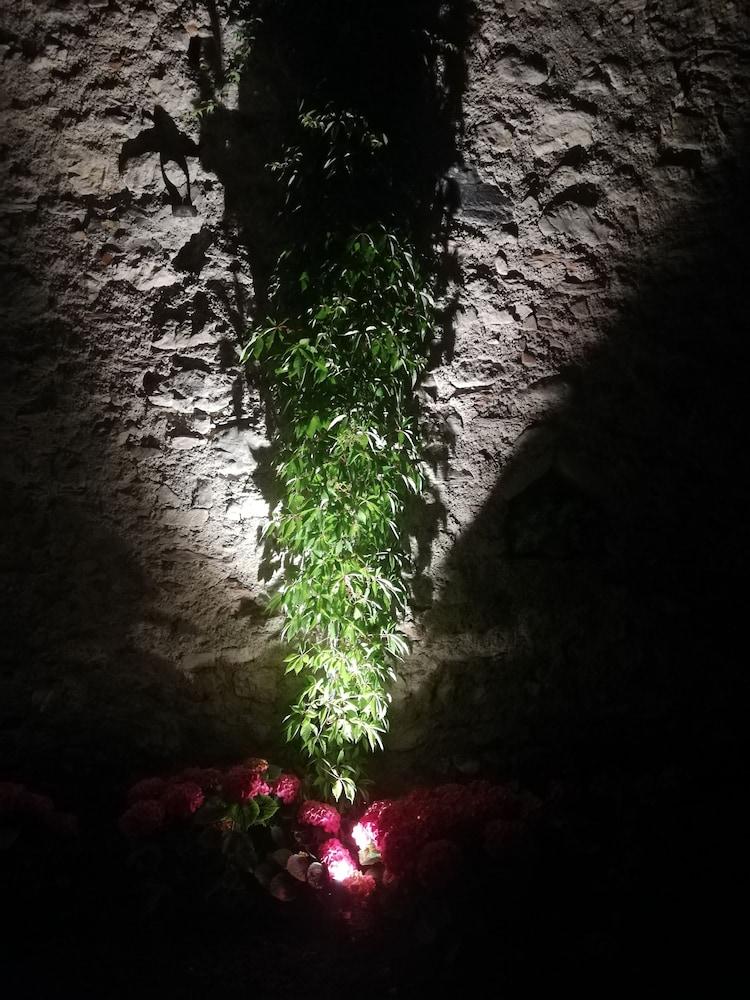 بي آند بي رت ألما سبا آند لاكشري هوم تفاصيل الفندق من الخارج