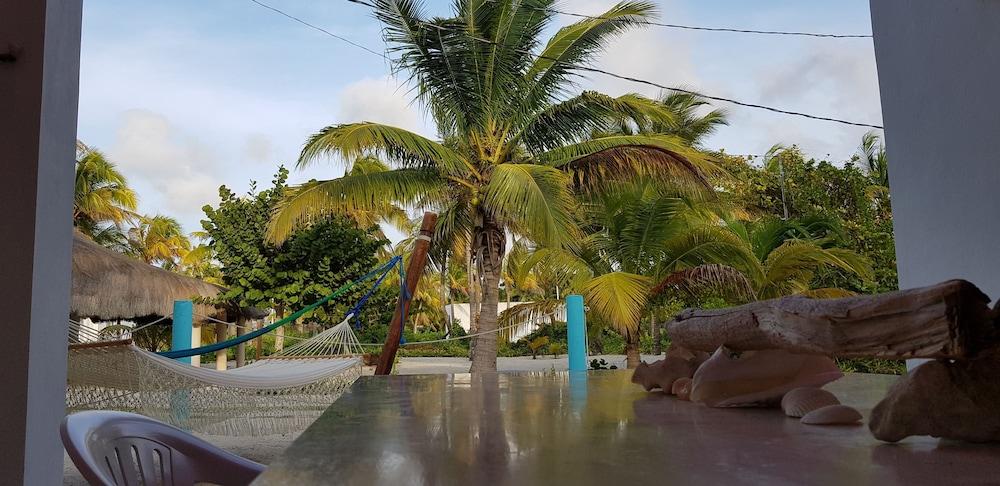 Casa de los peces