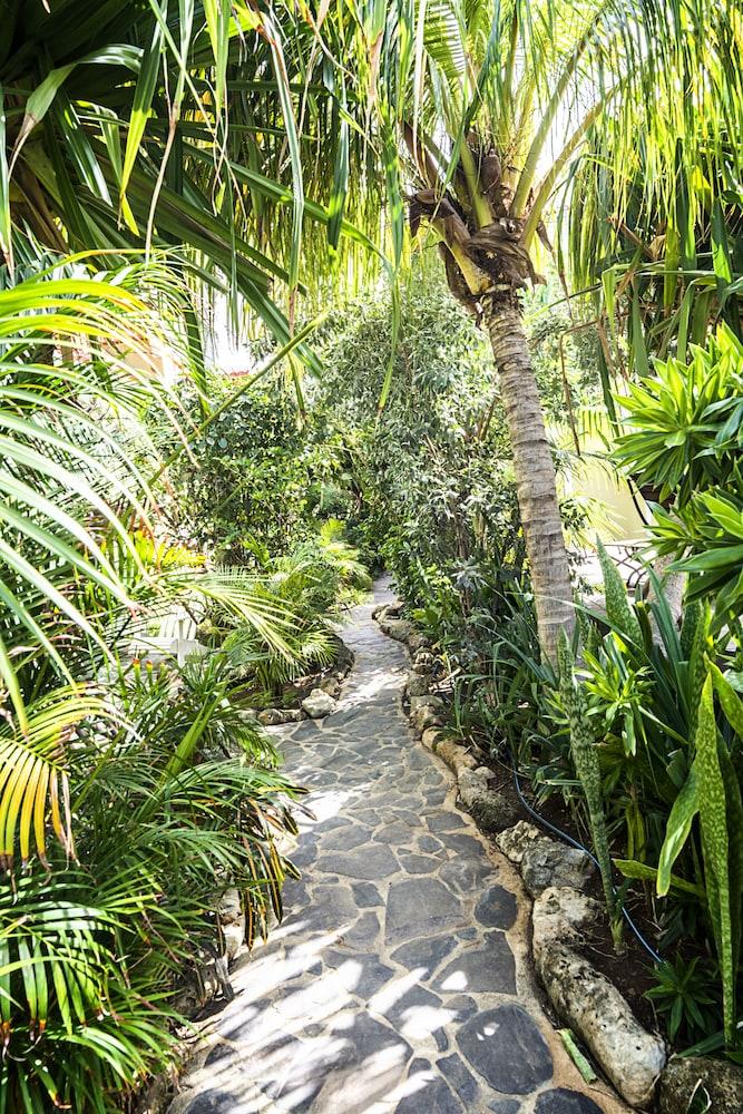 Pietermaai Caribbean Vibes Property Grounds