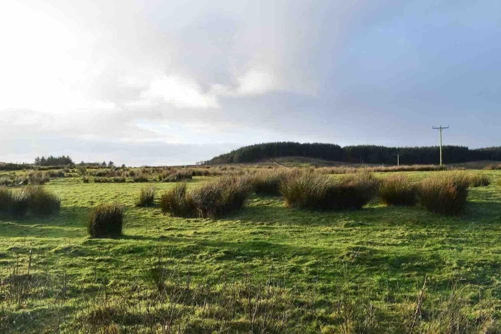 كوينت آند كويركي كوستال كوتيدج أسلاي المنطقة المحيطة بالمنشأة