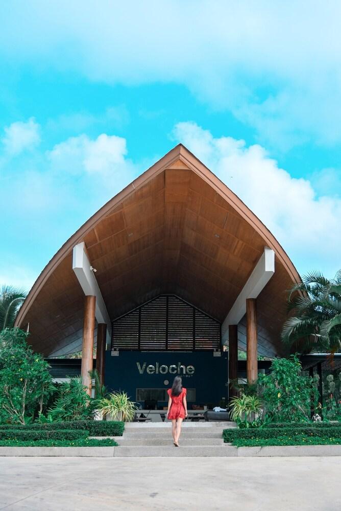 Veloche Group Reception