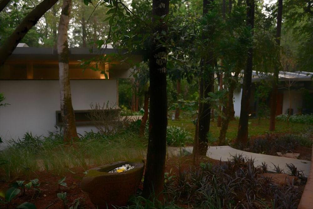 Java Rain Resorts Property Grounds