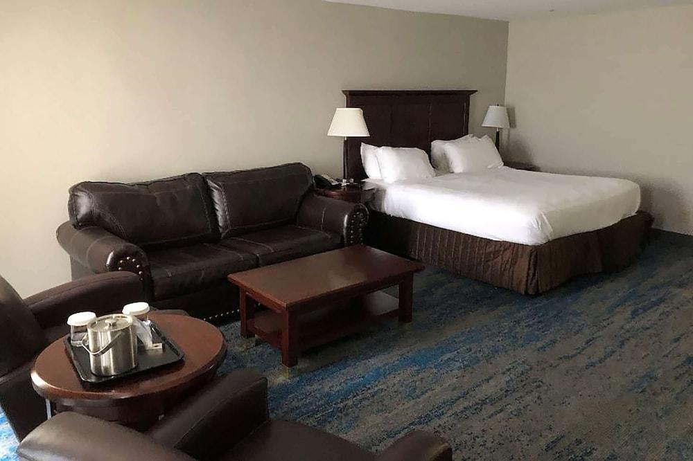 Ramada by Wyndham Cleveland Independence - Room