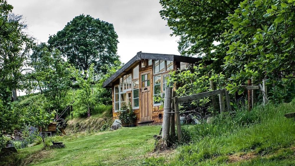 2 Luxury Yurts & Barn Kitchen Big Garden- Sleeps 9 - Exterior