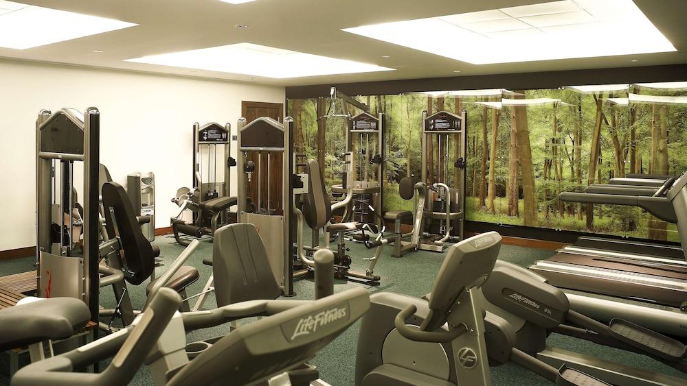 Park Plaza County Hall London - Fitness Facility