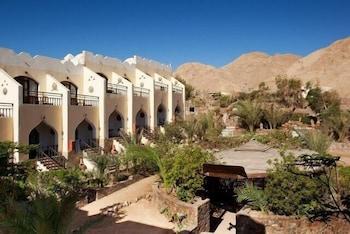 Bedouin Moon Hotel - null