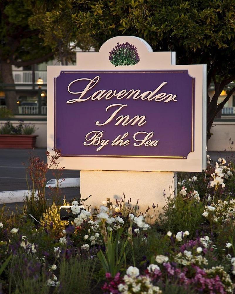 Lavender Inn by the Sea - Exterior