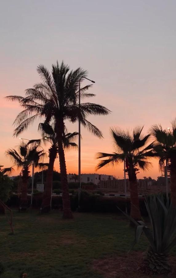 Sunset Hotel sharm El Sheikh - Other
