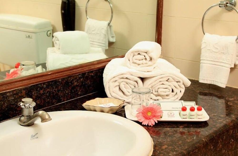 Hotel Basant Residency - Bathroom Sink