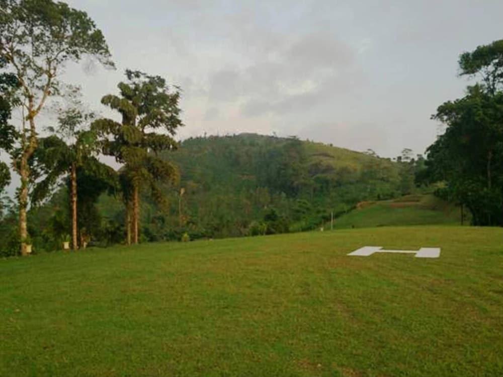 Ancoombra Tea Estate Bungalow - Property Grounds